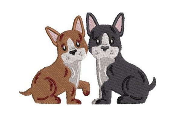 Boston Terrier Puppies: A Designer’s Review for Heartfelt Gifts