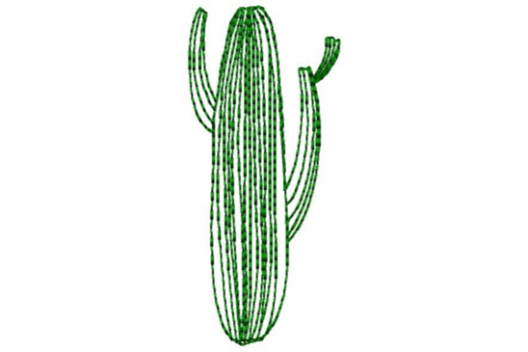 Reviewing the Lined Cactus Outline Embroidery Design for Real Projects